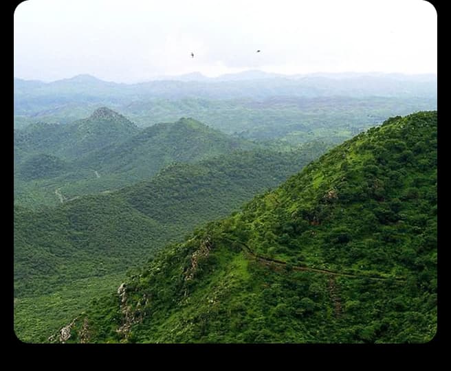 Golden hills and open valleys