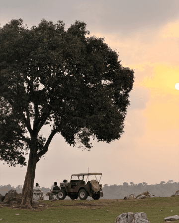 Chai Stops and Village Tables: Eating Along the Trail